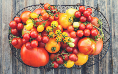 Tomatoes: The ultimate summer vegetable