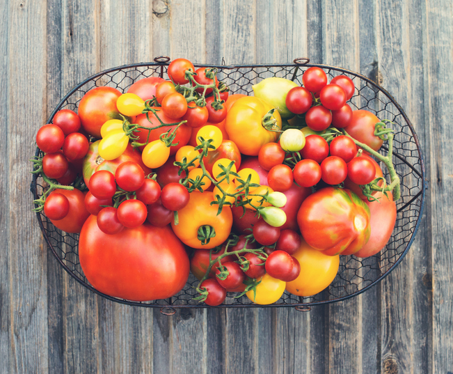 Tomatoes: The ultimate summer vegetable