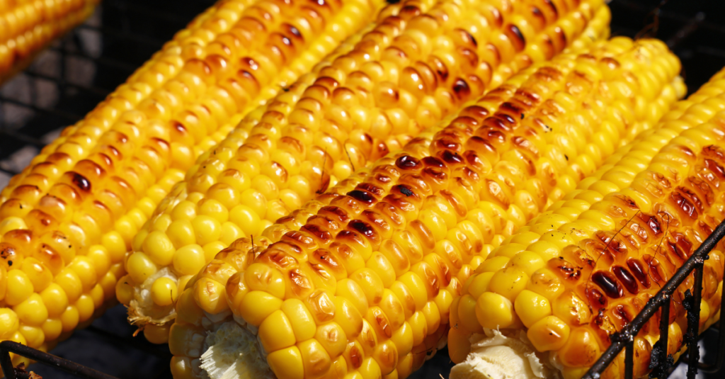 Four grilled corn on the cobs to use for Elotes as part of the Day of the Dead grilling feast